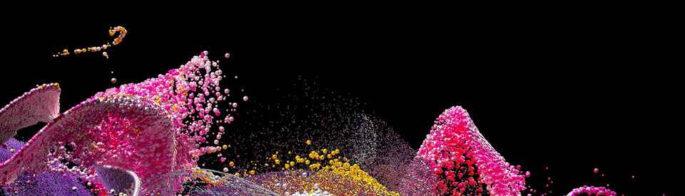 Profile Banner