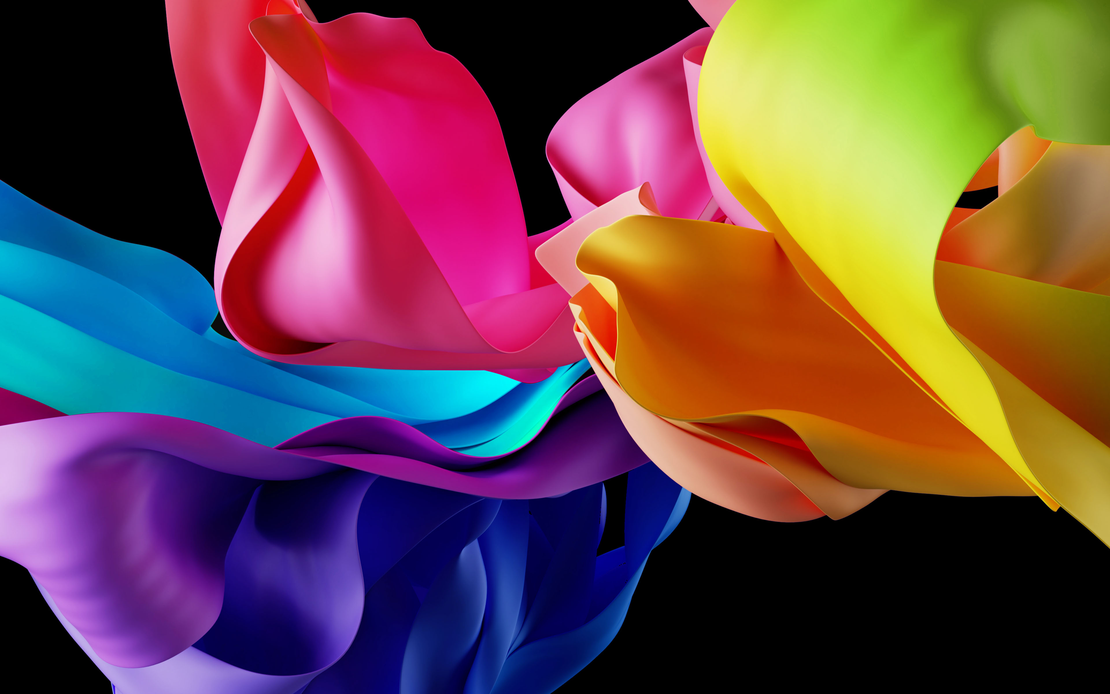 Profile Banner
